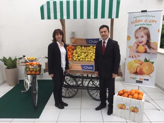 materialpromocionalbrasil