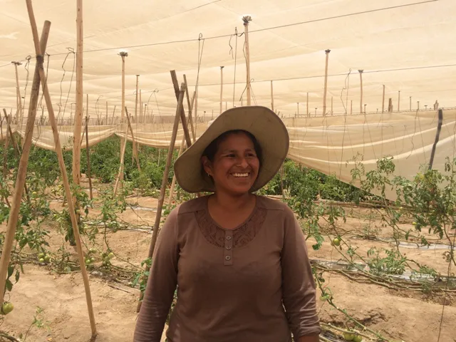 arica-productora