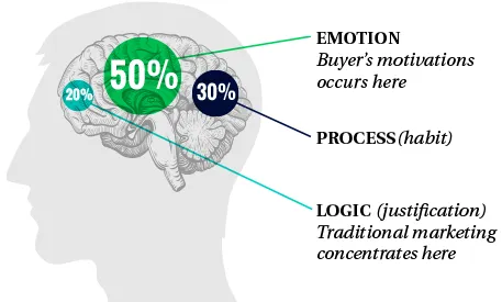 whole-brain-process