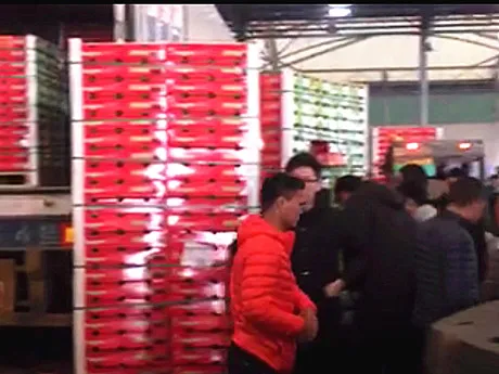cerezaschilenas