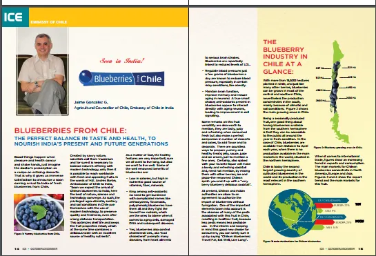 Pag 14 y 15 revista India arándanos