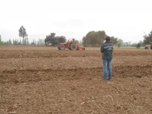 SUELOS