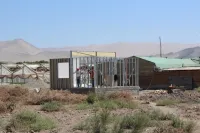 APECO-ASOEX-CASAS-SANPEDRO