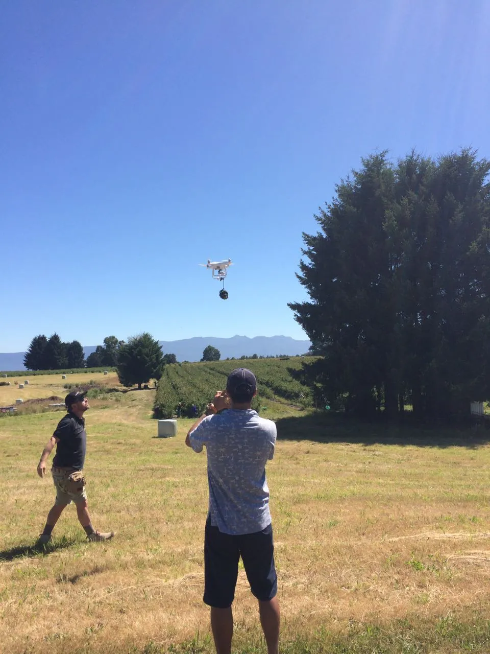 drone-video-frutasdeChile