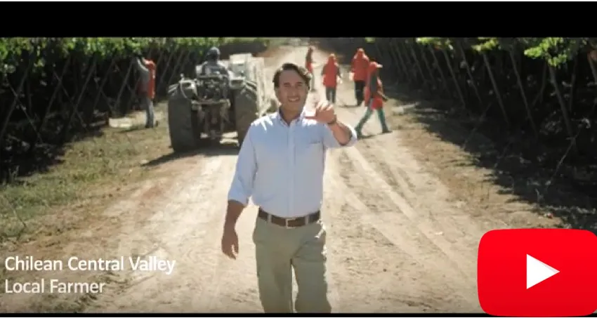 video-frutasdeChile
