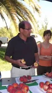 PMG-carozos-ConsorcioTecnologicodelaFruta